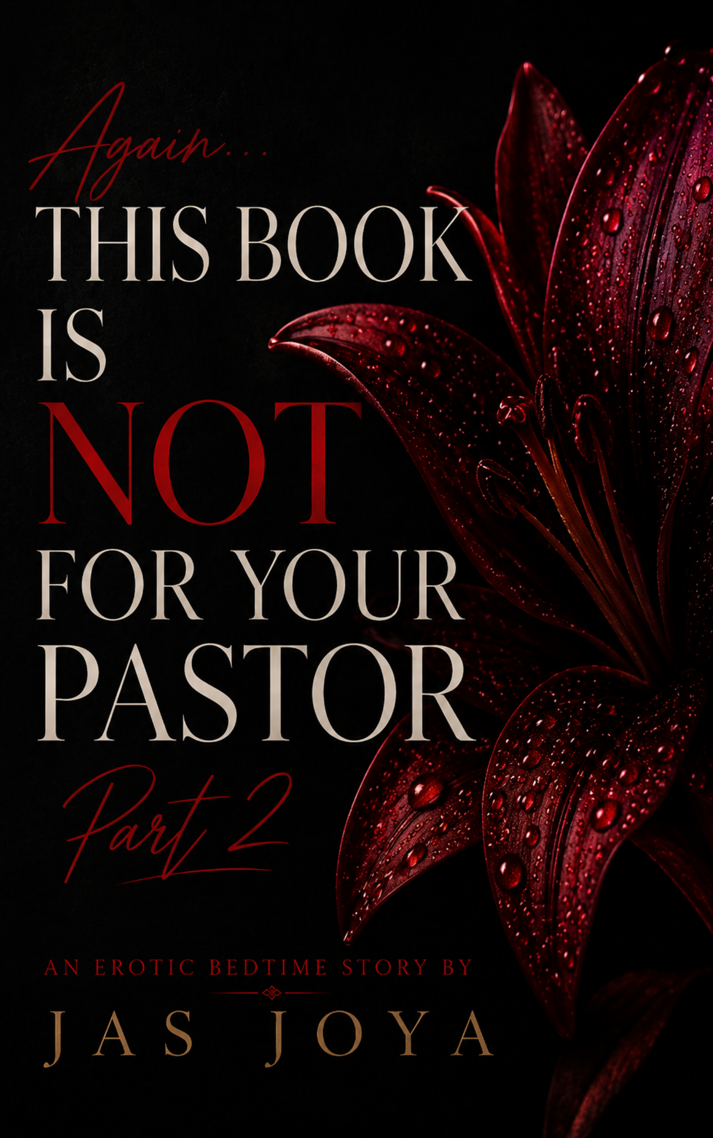 Again... This Book Is NOT For Your Pastor Pt.2